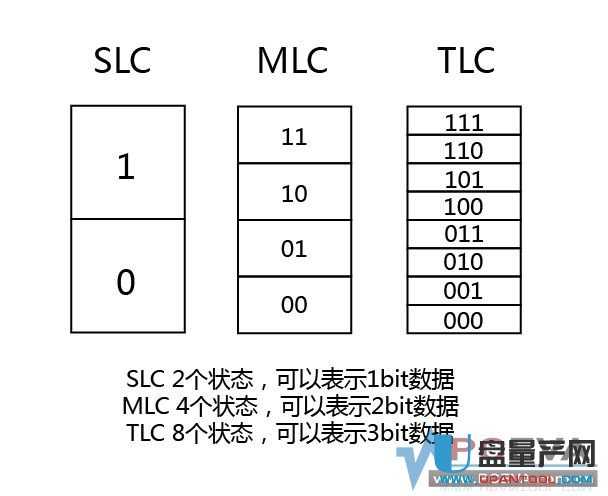SLCMLCTLC_1.JPG