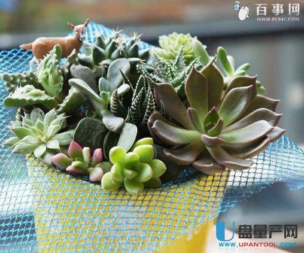 电脑辐射怎么才能真正的防住